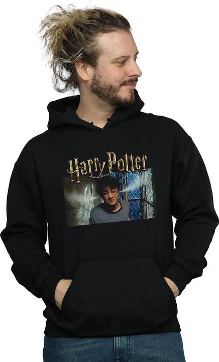 Actual product image Mens Steam Ears Hoodie (XL)