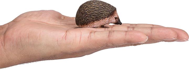 Actual product image Animal Planet Echidna