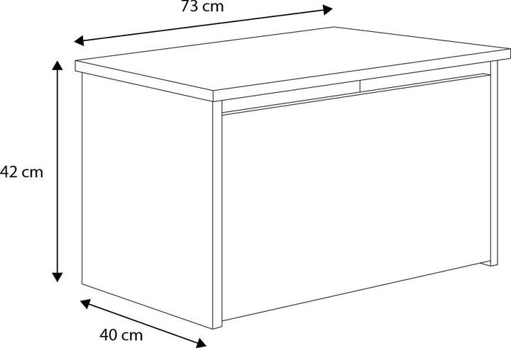 Actual product image ADRK Furniture DARIA toy chest