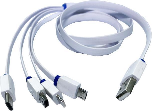Audioraq 4in1 USB Ladekabel (0.80 m, USB 2.0)