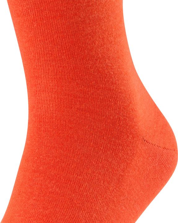 Actual product image Falke Airport SO (Single pack, 43 - 44)