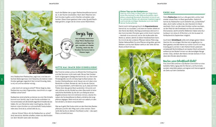 Actual product image Mit dem Hochbeet durchs Jahr (German, The City Gardeners, 2020)