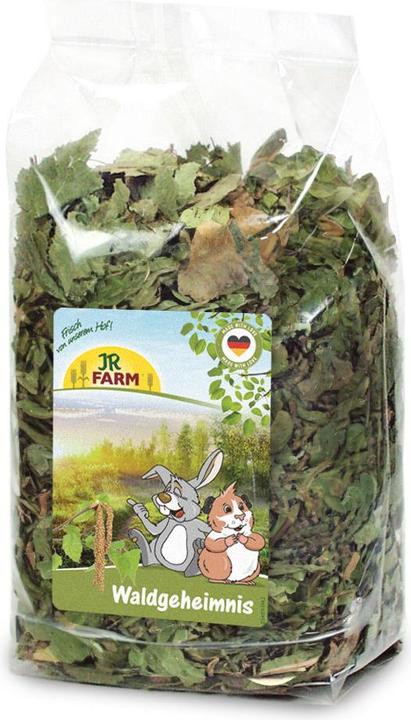 Immagine prodotto JR Farm Segreto della foresta (0.10 kg, 1 x)