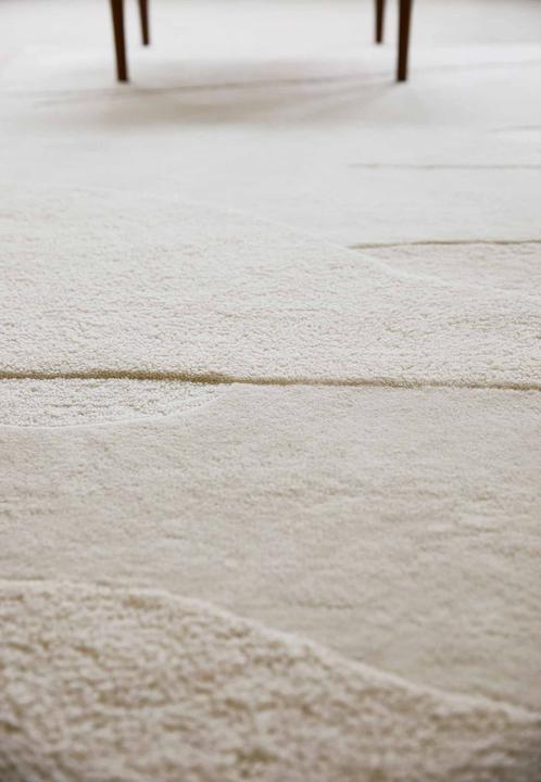 Immagine prodotto Brink & Campman Decorazione (250 x 350 cm)
