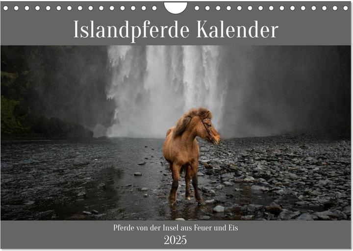 Actual product image :Icelandic horses calendar - Horses (A4, No binding, German)