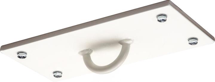 Actual product image Sport-Thieme Ceiling plate with half ring
