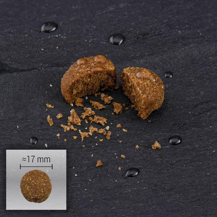 Immagine prodotto Solognac 345815 (Adulto, 1 pz., 12000 g)