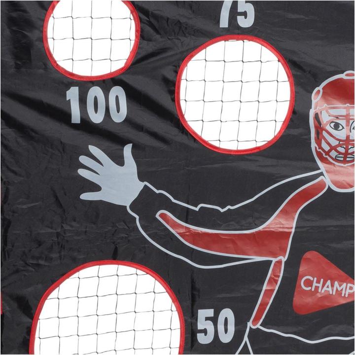 Actual product image Hudora Floorball goal with goal wall