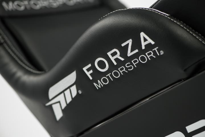 Actual product image Playseat Forza Motorsport