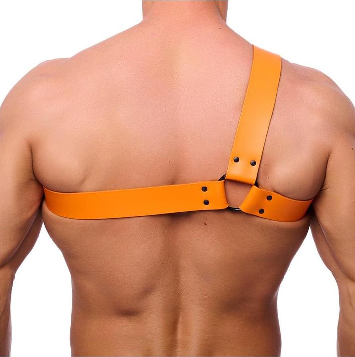 Image du produit The Red Premium Leder-Harness "HALF" (L)
