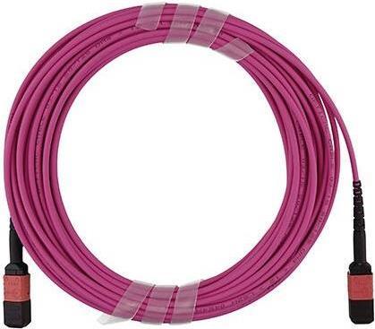 Immagine prodotto BlueOptics Cavo patch Lenovo AV2A compatibile MPO-MPO Multimode OM4 30 metri (U/UTP, CAT6, 30 m)
