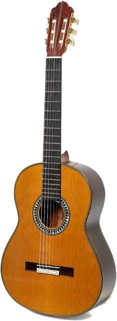 Actual product image Esteve 60th Anniversary (Acoustic guitar)