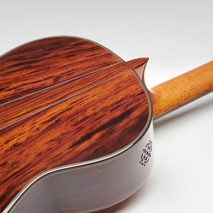 Actual product image Esteve 60th Anniversary (Acoustic guitar)