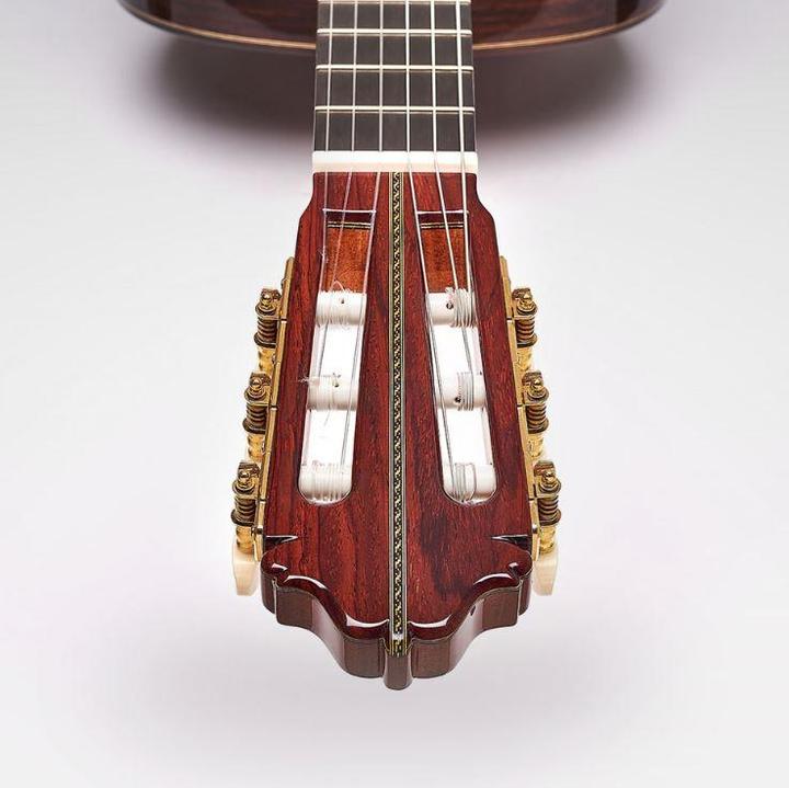Actual product image Esteve 60th Anniversary (Acoustic guitar)