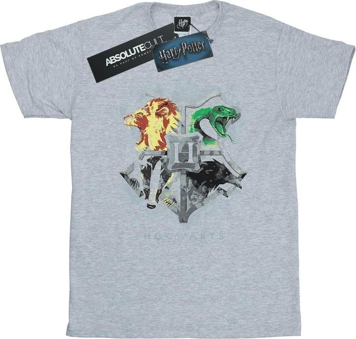 Actual product image Boys Hogwarts Painted Crest T-Shirt (140, 146)
