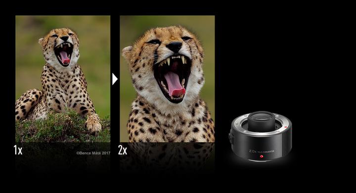 Actual product image Panasonic DMW-TC20 (Teleconverter, Leica DG)
