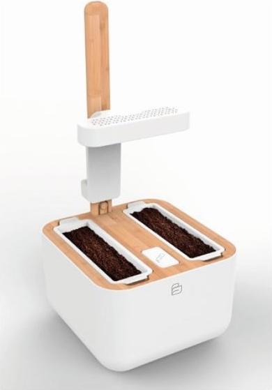 Image du produit Véritable Botaneo Eylo (18.40 cm)