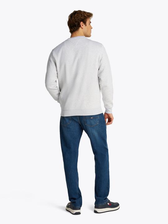 Actual product image Tommy Jeans Tjm Reg S Flag Crew (L)