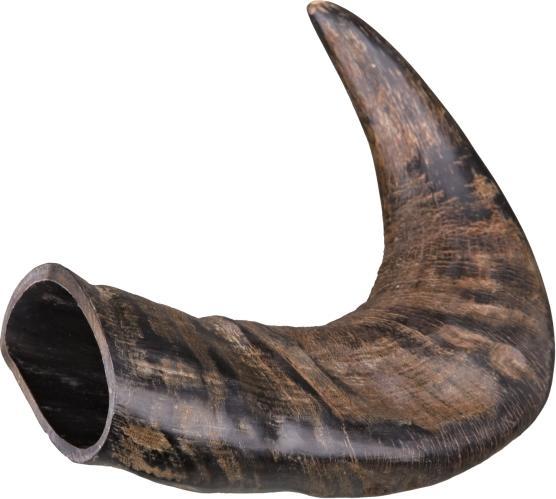 Actual product image Trixie Natural chewing horn from buffalo (Adult, 1 pcs., 150 g)