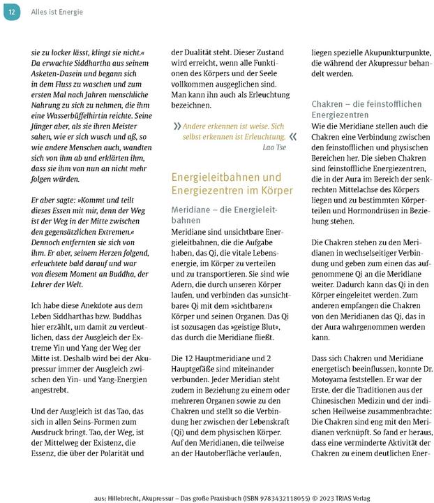 Immagine prodotto Akupressur - Das grosse Praxisbuch (Tedesco, Maitri Hillebrecht, 2023)