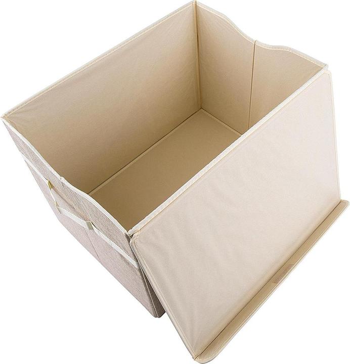 Actual product image Bieco Dust box 'Lion