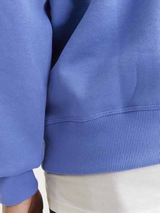 Actual product image Jack & Jones Jcounion Print Sweat Hood Noos (XS)