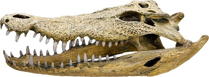 Actual product image Nobby Aquarium decoration skull, 47.5x20.5x16cm (Embellishment, other items)