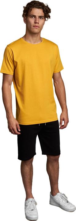 Produktbild Juice Mens Fanshaw T-Shirt (L)