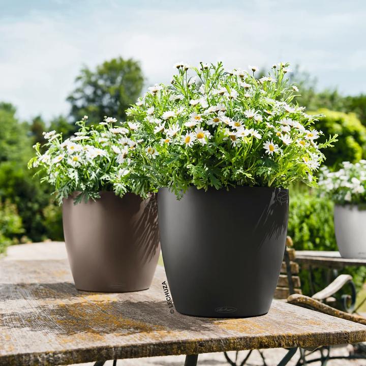 Image du produit Lechuza Classico Color (27.50 cm)