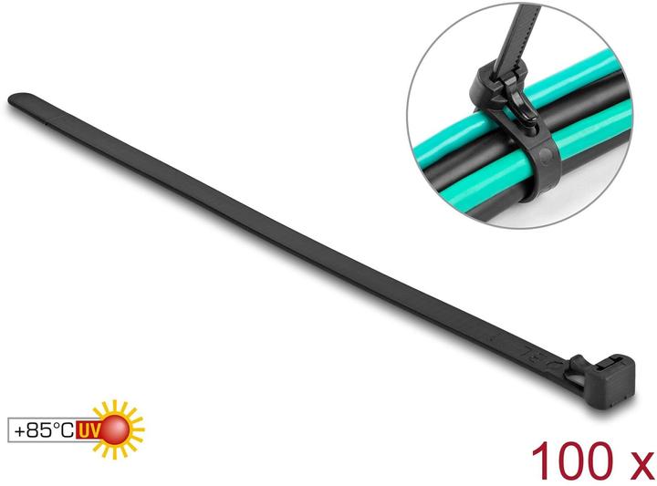 Immagine prodotto Delock Fascetta (Fascette in plastica, 300 mm, 100 pz.)