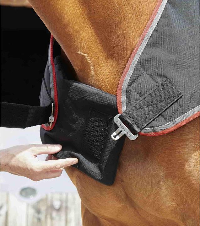 Immagine prodotto Premier Equine 100 g (152 cm)