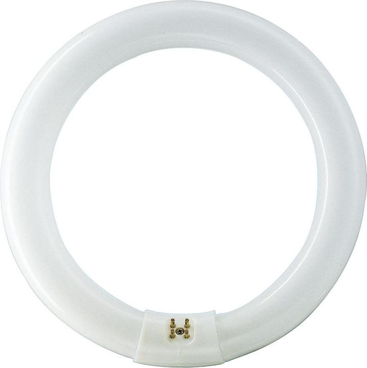 Produktbild Philips Leuchtstofflampe TL-E (G10q, 40 W, 3200 lm, 12 x, G)