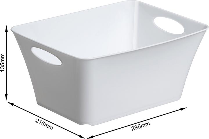 Image du produit Rotho Livingbox (21.6 x 13.5 x 29.5 cm, 5 l)