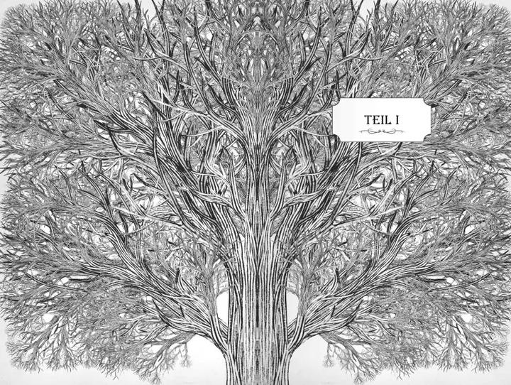 Actual product image Ravensburger The School for Good and Evil, Band 6: Ende gut, alles gut? (German, Soman Chainani, Iacopo Bruno, Ilse Rothfuss, 2021)