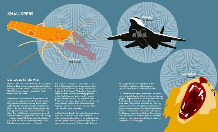 Immagine prodotto Tessloff Stinker, Sauger, Schleimer. 22 grossartige Gruseltiere (Tedesco, Katja Trippel, Ole Häntzschel, 2024)