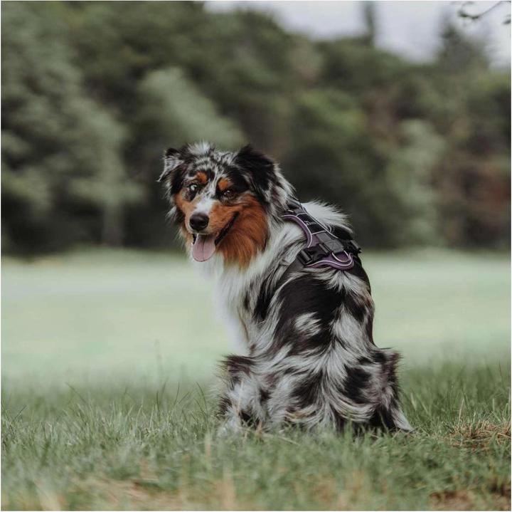 Immagine prodotto Hunter Stoviglie Divo (L, XL, Cane, Generale)