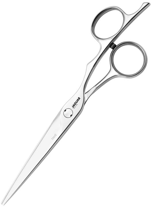 Image du produit Jaguar Fame Silver Line (15.24 cm)