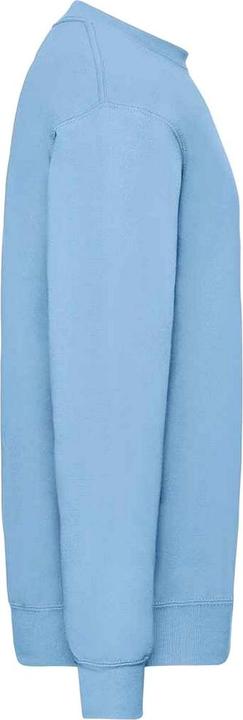 Image du produit Fruit of the Loom - Sweat CLASSIC - Homme (M)