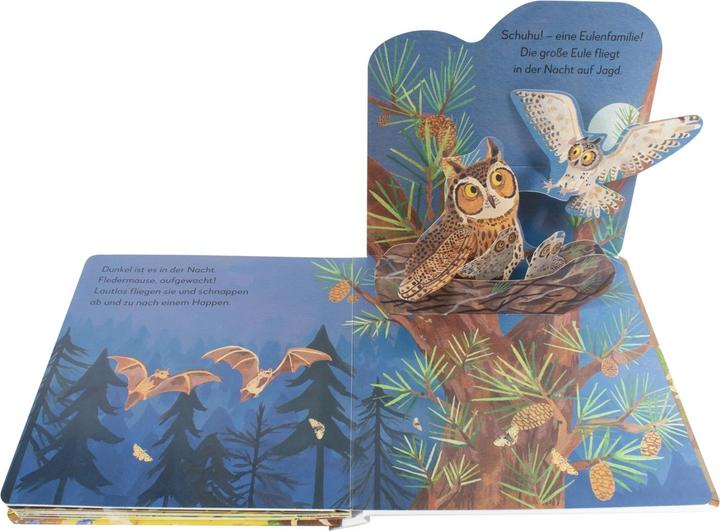 Produktbild Mein Pop-up-Buch zum Staunen. Wer lebt im Wald? (Deutsch)
