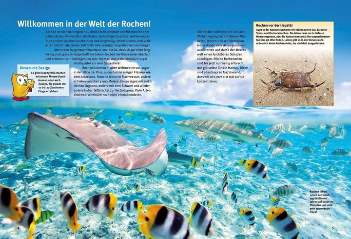 Immagine prodotto Entdecke die Rochen (Tedesco, Ralf P. Domenica, 2023)