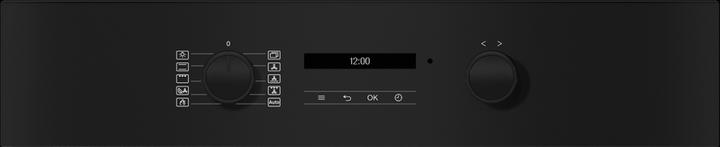 Actual product image Miele H 2861-55 BP