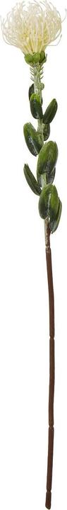 Produktbild Hill Interiors Kunstblume (61 cm)