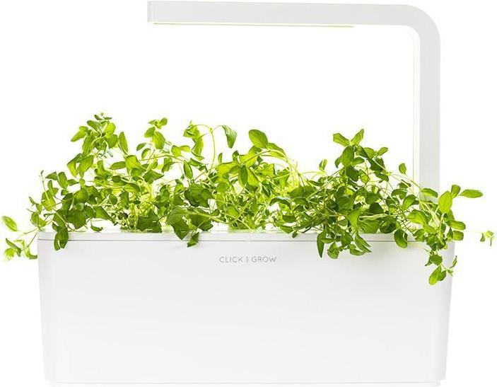 Immagine prodotto Click and Grow Origano (Semi di erbe)