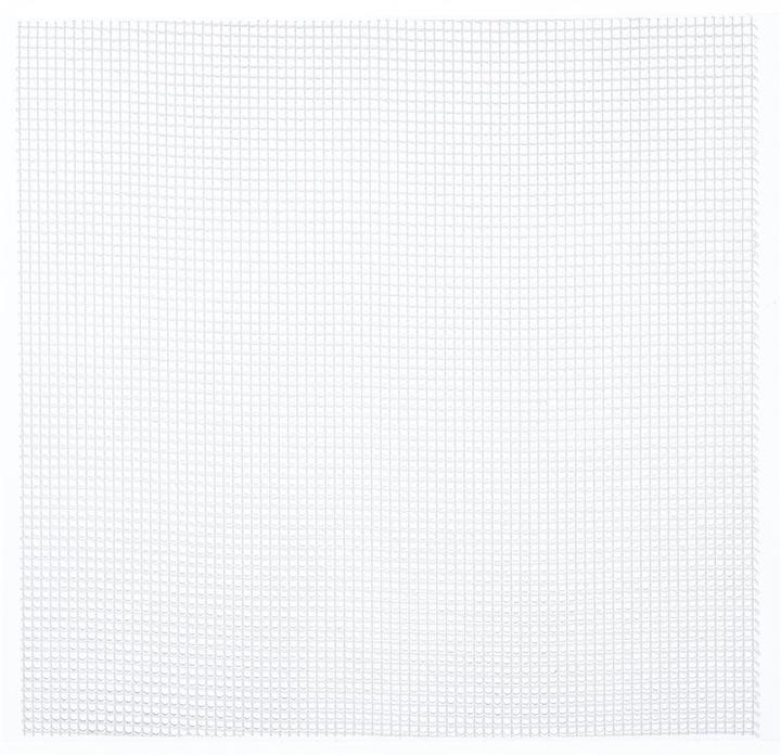 Actual product image Lohmann & Rauscher Pro (10 x)