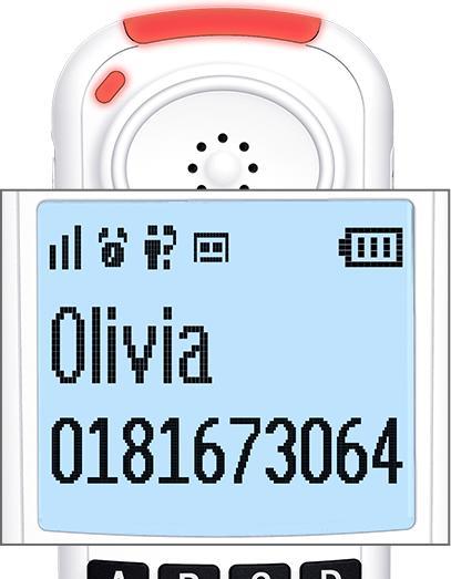 Actual product image Swissvoice Xtra 2355 Duo