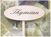 Actual product image Münder Spice plug thyme (20 cm)