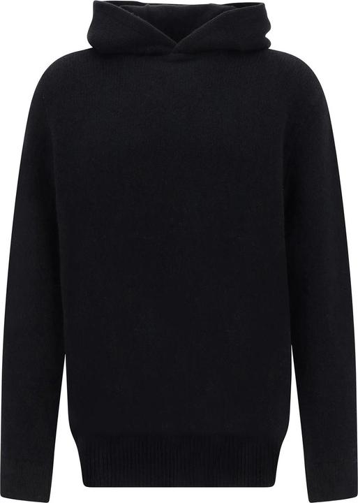 Actual product image Burberry Forister Knitted Hoodie (L)