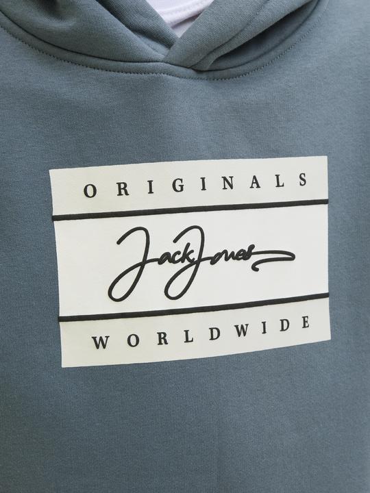 Produktbild Jack & Jones Logo Kapuzenpullover Mini Kapuzenpullover (122)