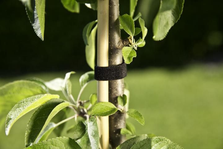 Actual product image Windhager Universal velcro tie (500 cm, 1.20 cm)