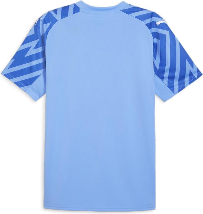 Image du produit Puma ASF GK Jersey SS Replica (L)